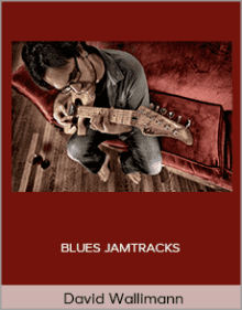 David Wallimann - BLUES JAMTRACKS.